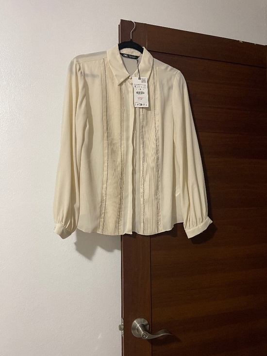 Zara Tops - Zara Sheer Long-Sleeve Top, Romantic Pleated Front, NWT